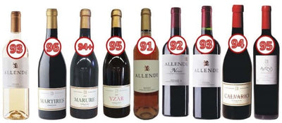 Wine Advocate 誌において FINCA ALLENDEのワインが高得点を獲得＜2024年の最新評価＞