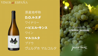 ハヴィエルサンス マルコルタ 2023年が「Wines From Spain Awards 2025」にてTOP100ワインに選出！