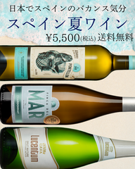 スペイン夏ワイン3本セット【送料無料】
